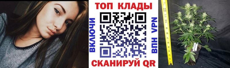 Наркошоп купить Амфетамин  МАРИХУАНА  LSD-25  ГАШ  Cocaine  СОЛЬ  МЕФ  Лосино-Петровский