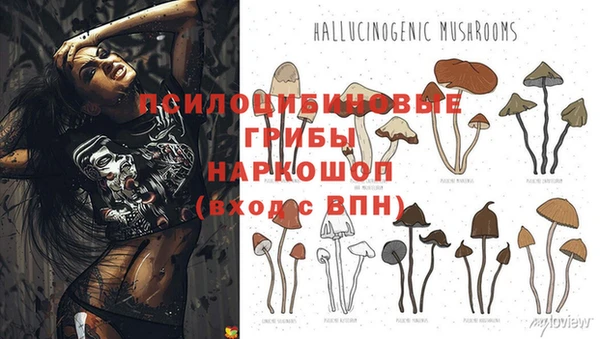 винт Балахна
