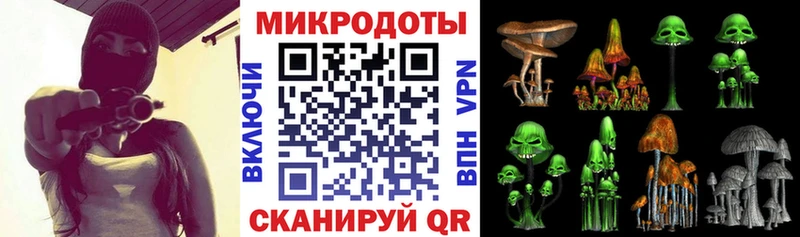 Псилоцибиновые грибы Psilocybe  Купить  Лосино-Петровский 